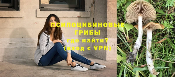 Альфа ПВП Володарск