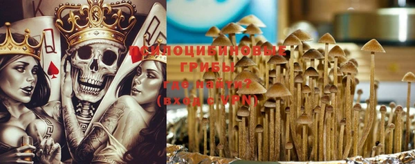 Альфа ПВП Володарск