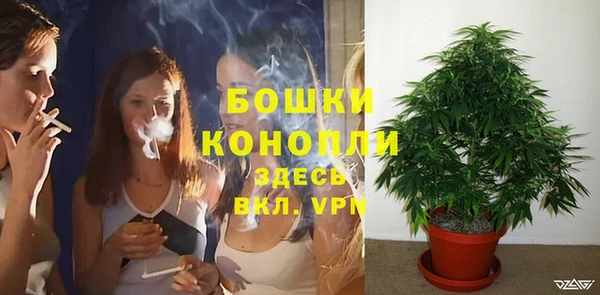 трава Волоколамск